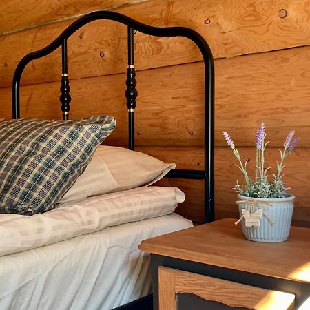 Kasepuu Holiday House Uulu Eksteriør bilde